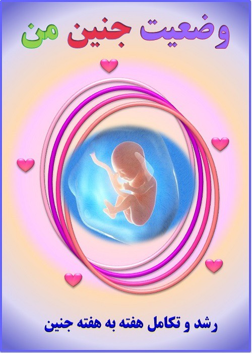 رشدجنین و مراقبت های معمول بارداری