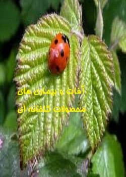 آفات و بیماری های محصولات گلخانه ای