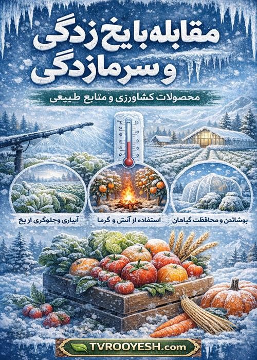 آموزش مقابله با یخ زدگی و سرما زدگی