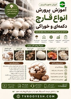 آموزش پرورش انواع قارچ خوراکی و جنگلی