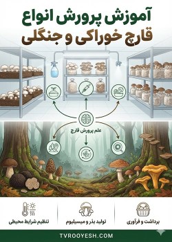 آموزش پرورش انواع قارچ خوراکی و جنگلی