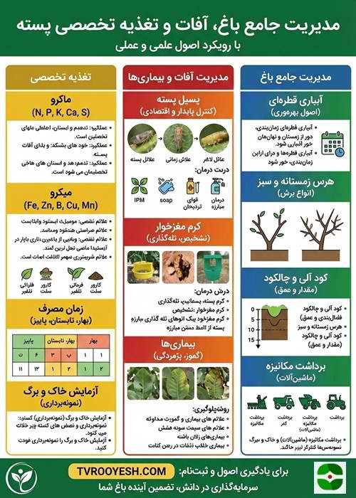 آموزش مدیریت جامع باغ، آفات و تغذیه تخصصی پسته