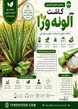 راهنمای جامع کاشت و تجاری‌سازی آلوئه‌ورا