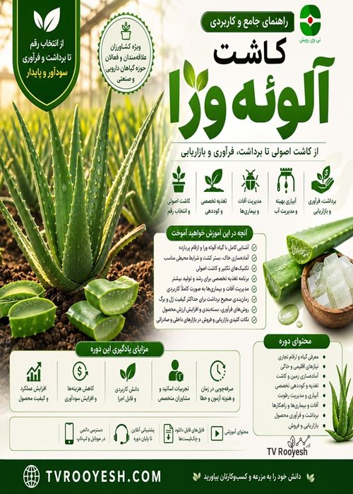 راهنمای جامع کاشت و تجاری‌سازی آلوئه‌ورا