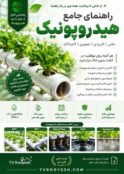 راهمنمای جامع هیدروپونیک
