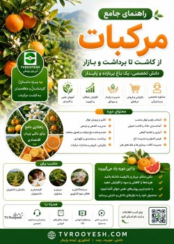 راهنمای جامع مرکبات از کاشت تا برداشت و بازار(منابع جدید 2026)