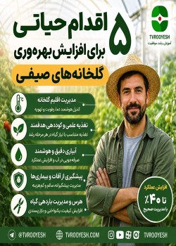 ۵ اقدام حیاتی برای افزایش بهره‌وری گلخانه‌های صیفی