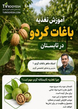آموزش تخصصی تغذیه باغات گردو در تابستان