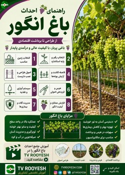 آموزش جامع انگور(احداث باغ انگور)