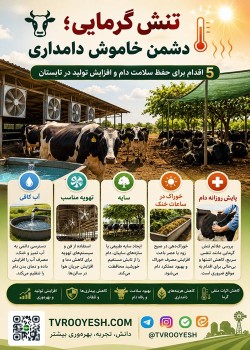 تنش گرمایی دشمن خاموش دامداری