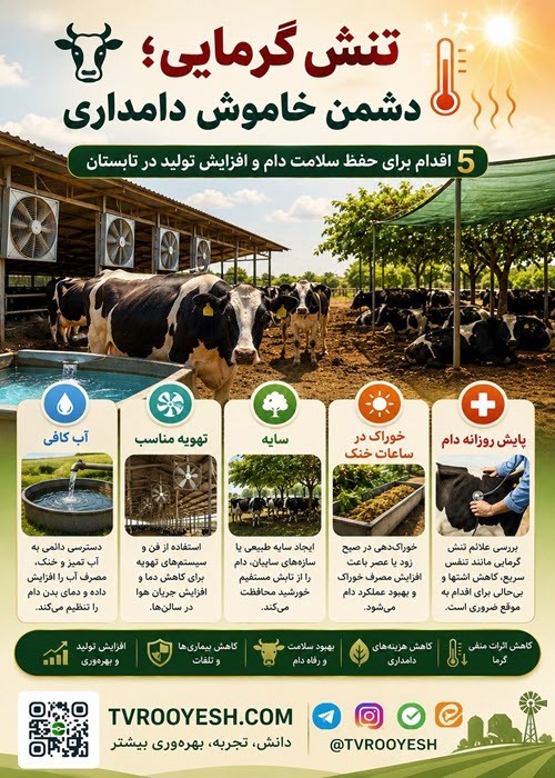 تنش گرمایی دشمن خاموش دامداری