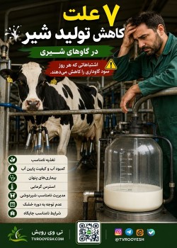 ۷ علت کاهش تولید شیر در گاوهای شیری