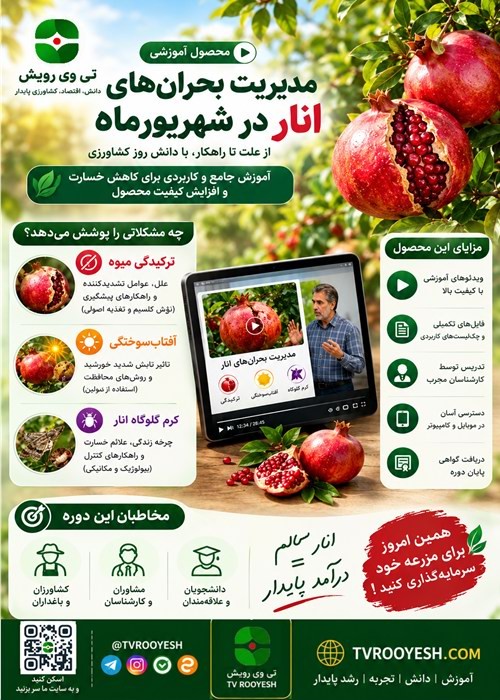 مدیریت بحران های، انار در شهریور ماه