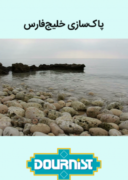 پاک سازی ساحل خلیج فارس